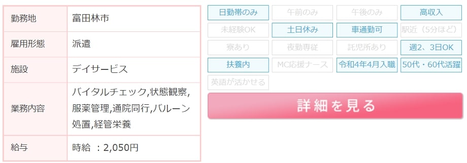 看護派遣求人例2